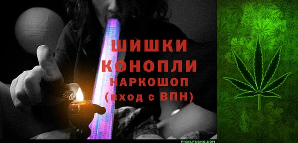 прущие грибы Вязьма