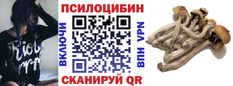 Галлюциногенные грибы Psilocybe  Купить закладки  Мамадыш 